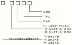 YO/YA/YY特种压力表